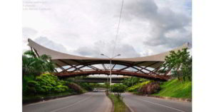 puente de bambú guadua cucuta