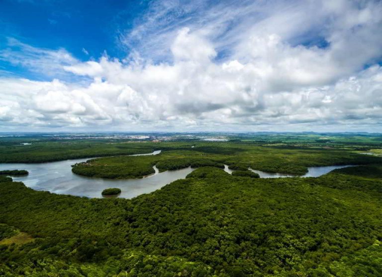 río amazonas el mas largo del mundo
