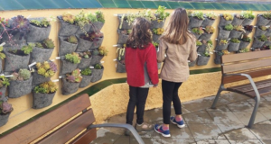 beneficios de contar con un jardín en casa