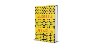 Álgebra - Lovaglia