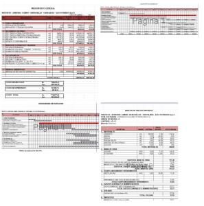 Precio unitario; presupuesto; cronograma de un camino